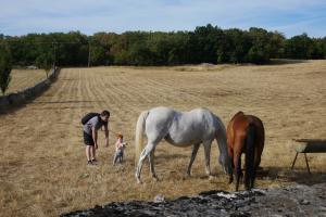 Découverte des animaux chez Jean-Paul. 
