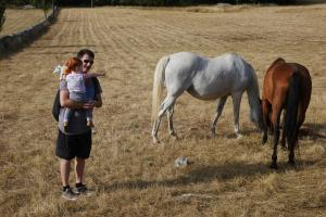 Découverte des animaux