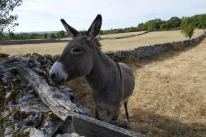 Découverte des animaux chez Jean-Paul. 