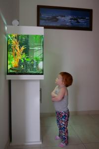 Et "poisson" c'est un emploi plein temps ?