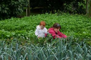 dis maman, tu as besoin d'aide ?