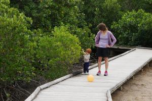 J'étudie aussi les plantes