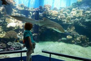 Houla, il est grand lui