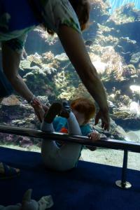 Accident, j'ai basculé en arrière, à l'aide !!!!