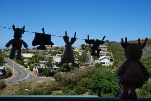 Les doudous admirent la vue !