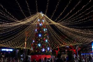 Illuminations de la ville