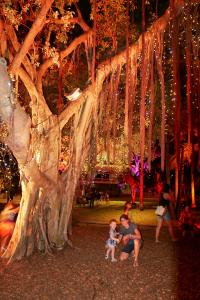 Illuminations de la ville