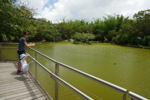 On regarde les canards !