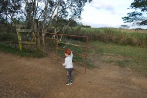 Je vous l'ai dit : les portails c'est mon affaire