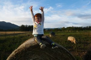 Sur une botte de foin