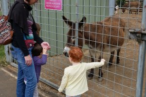 Sortie au parc forestier