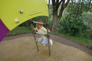 Sortie au parc forestier