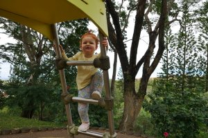 Sortie au parc forestier