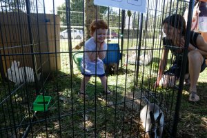 Visite au salon du jardinage
