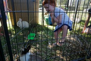 Visite au salon du jardinage