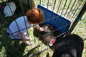 Visite au salon du jardinage