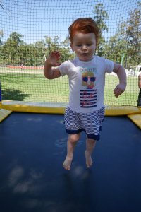 Visite au salon du jardinage