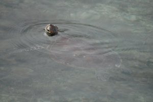 Qui sont au rendez-vous