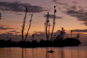 Fin de journée à la baie des tortues