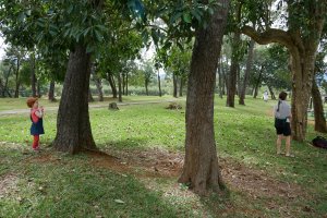 Cache-cache avec Maman