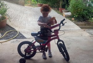 Vérifications de sécurité du véhicule