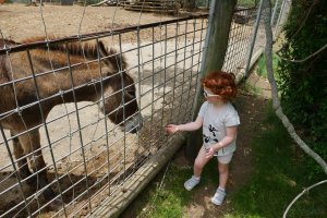 Petit tour au parc forestier