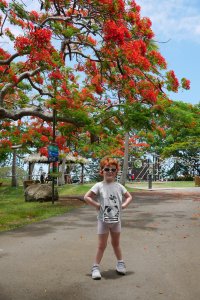 Petit tour au parc forestier