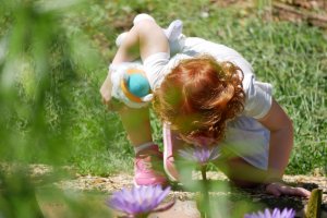 Sortie de confinement - promenade au centre culturel