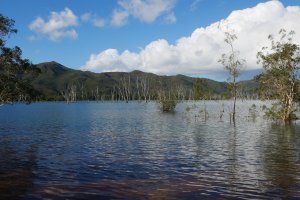 Rivière bleue, j'ai fait du kayak mais je n'ai pas de photo.
