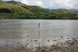 Arrivée cote-est - pique nique et promenade sur la plage