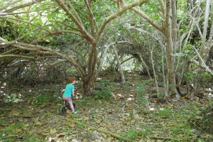 Hienghène - Promenade