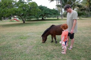 Chouette, encore le poney !