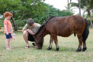 Chouette, encore le poney !