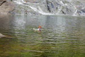 Cascade de Colnett - Baignade !