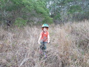 Draisienne tout terrain (DTT)