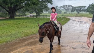 A cheval, un peu mouillée !