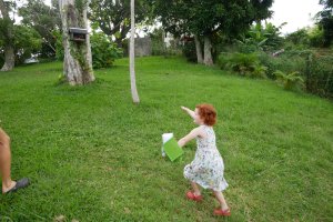 Chasse aux œufs dans le jardin