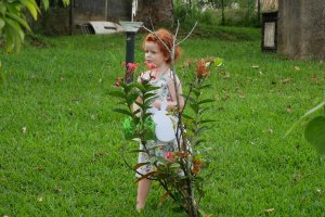 Chasse aux œufs dans le jardin