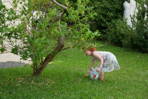 Chasse aux œufs dans le jardin