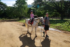 Chasse aux œufs à poney
