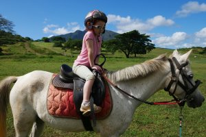 Chasse aux œufs à poney