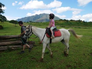 Chasse aux œufs à poney