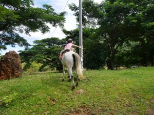 Chasse aux œufs à poney