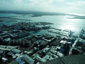 Depuis la Sky Tower - Viaduct Harbour