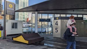 Départ pour Rangitoto Island - repérages