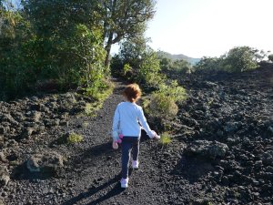 Rangitoto island - petite marche vers le sommet