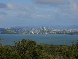 Rangitoto island - vue sur Auckand depuis le sommet