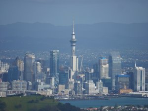 Rangitoto island - vue sur Auckand depuis le sommet