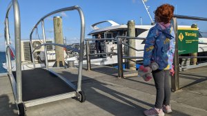 Rangitoto island - Retour